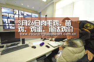3月26日肉毛鸡、苗鸡、鸡蛋、淘汰鸡价格行情参考-亚博app(图1) 亚博官网