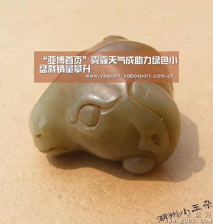 亚博官网