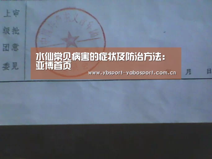 亚博官网