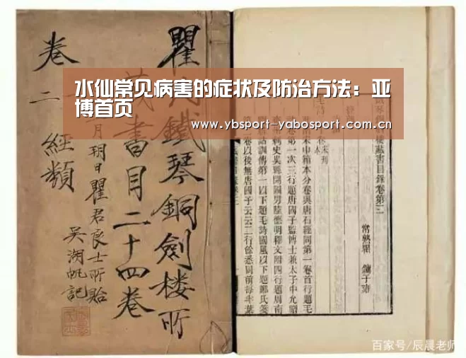 亚博首页