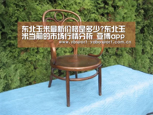 东北玉米最新价格是多少?东北玉米当前的市场行情分析_亚博app(图1) 亚博平台